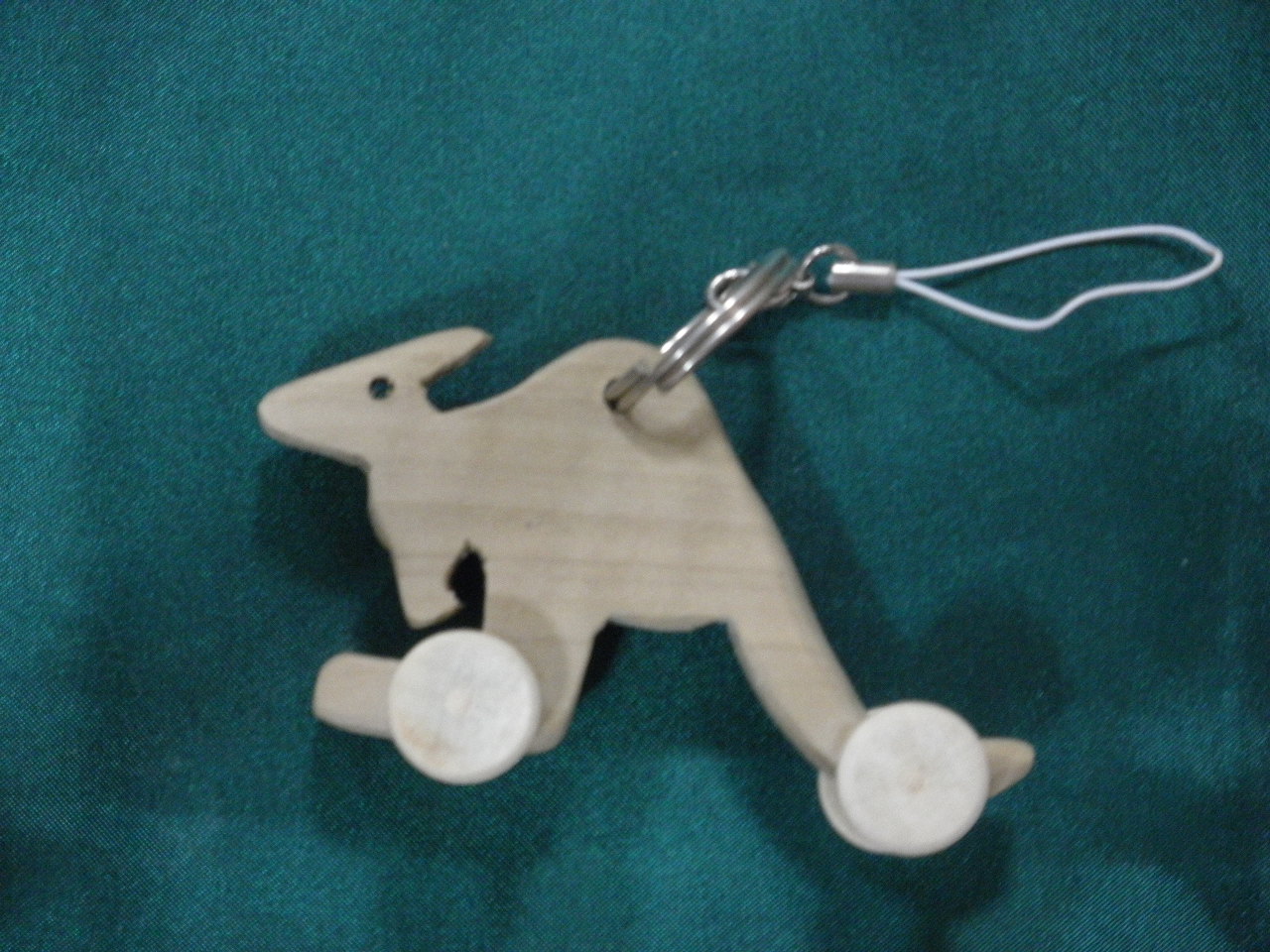 �J���K���[�̐e